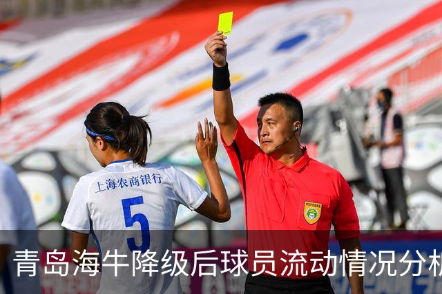 青岛海牛降级后球员流动情况分析，主力遭多队关注